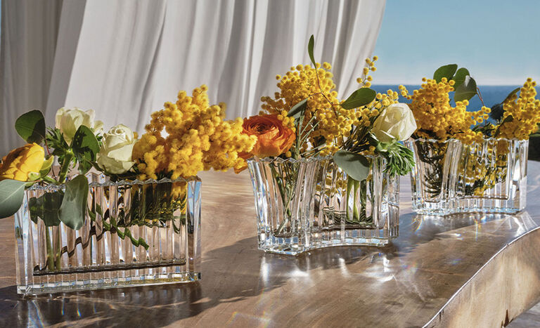 Image without a name Image without a name