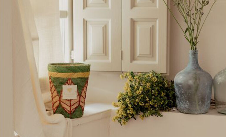 Maxi Max Ravintsara Ravina by Baobab