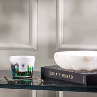 Rainforest Amazonia Candle Max 10 baobab collection rainforest amazonia candle max 10