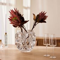 مزهرية توربيون متوسطة شفافة لاليك مزهرية توربيون متوسطة شفافة