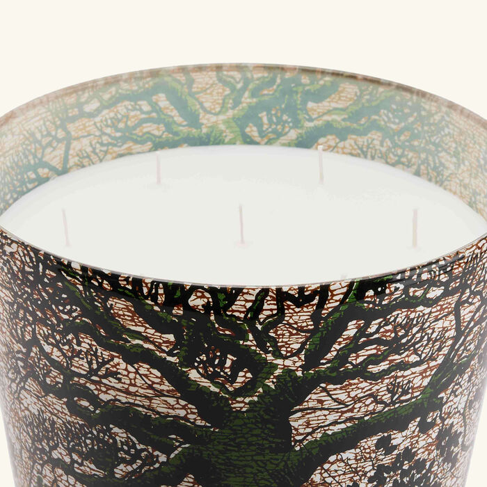 baobab collection sacred trees kani candle maxi max
