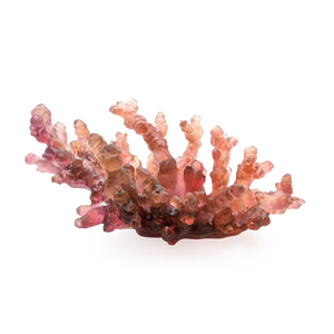 وعاء متوسط بحر المرجان كهرماني أحمر, medium