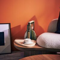 آسولين كتاب كين فالك  الفيلم الذي في ذهني 33 25 سم