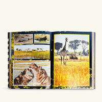 assouline african adventures the greatest safari on earth book 33x25cm
