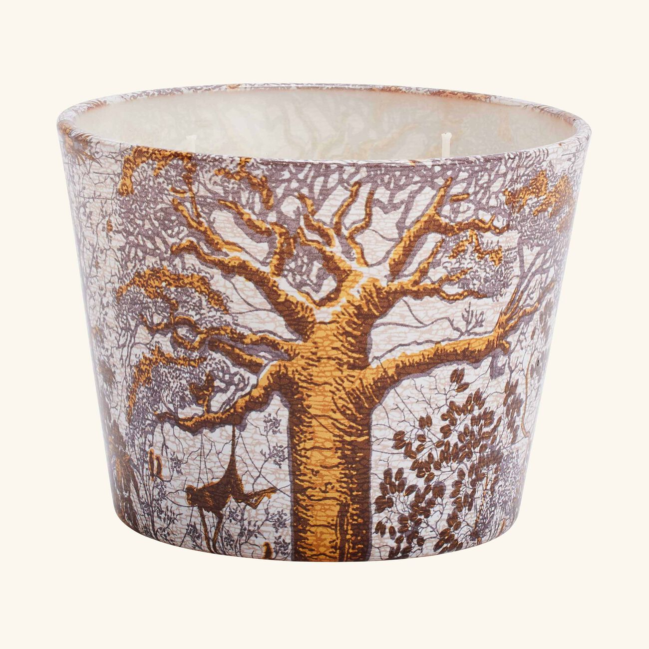 Sacred Trees Dualla Candle Max 10 baobab collection sacred trees dualla candle max 10