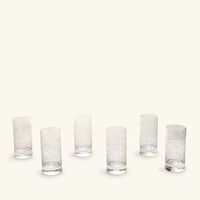 dimlaj thuluth tall tumbler clear set of 6