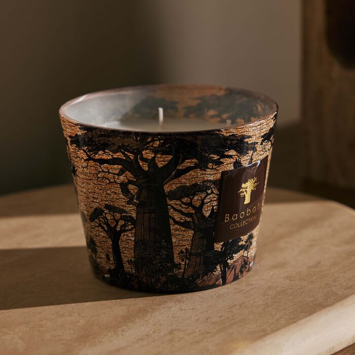 baobab collection sacred trees mankono candle max 10