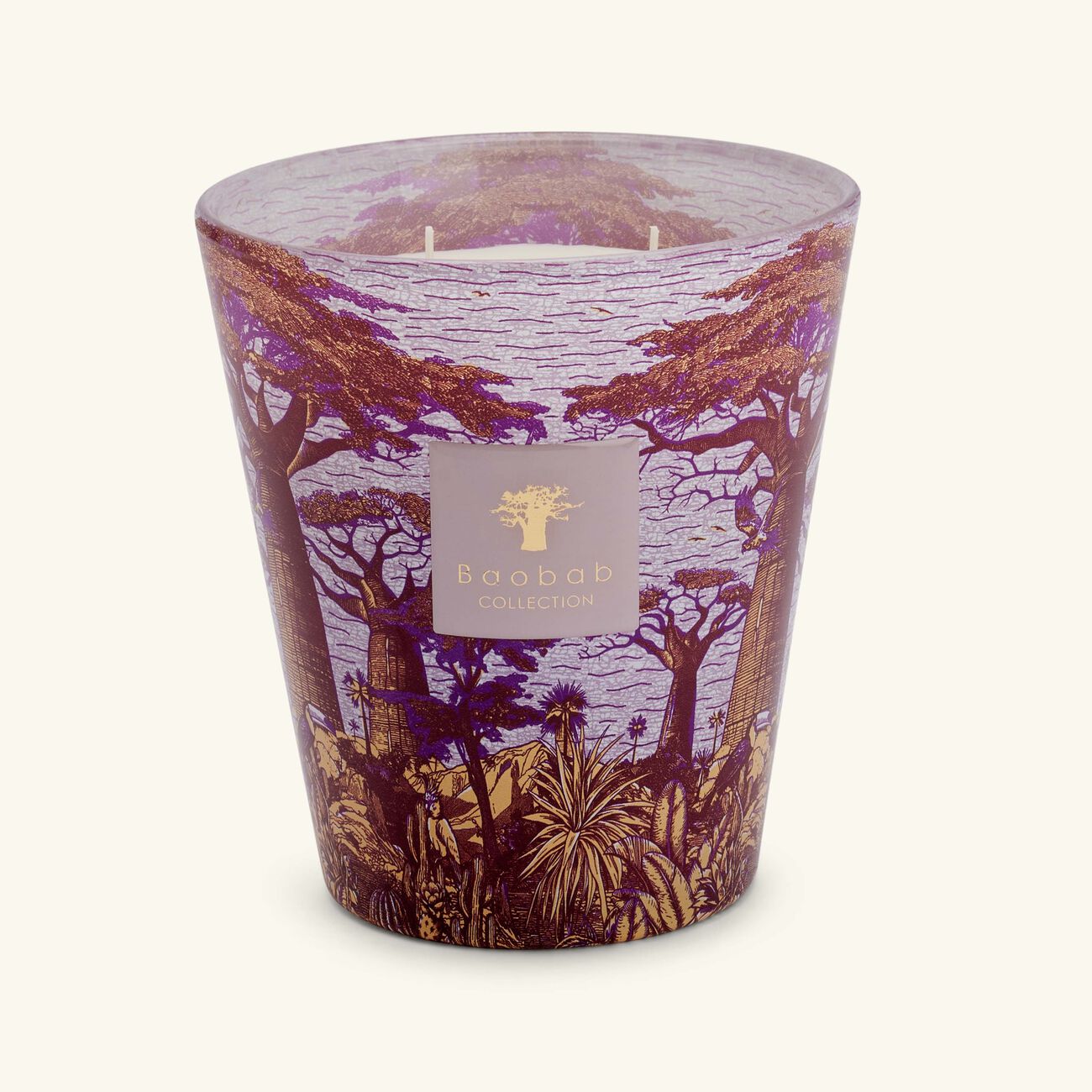 baobab collection sacred trees massasso candle max 16