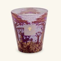 baobab collection sacred trees massasso candle max 16