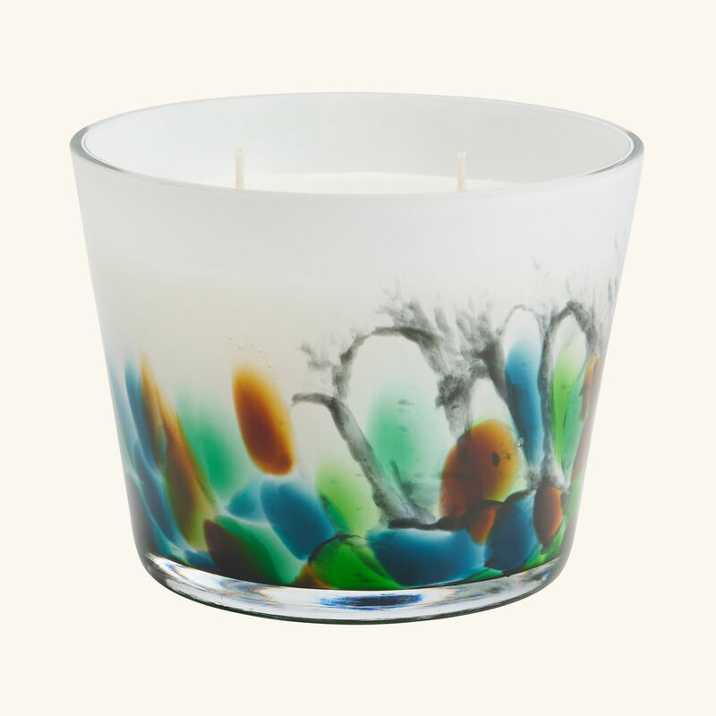 Rainforest Amazonia Candle Max 10 baobab collection rainforest amazonia candle max 10