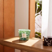 باوباب شمعة سيكرد تريز كامالو ماكس 10