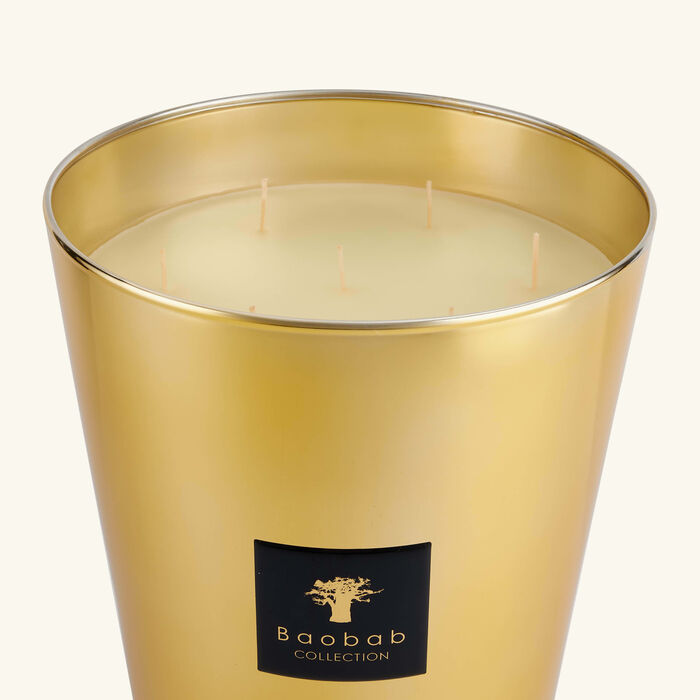 باوباب شمعة ليز إكسكلوسيف آوروم ماكسي ماكس