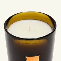 Cyrnos Candle 70g trudon cyrnos candle 70g