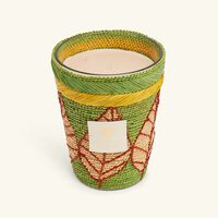 baobab collection ravintsara ravina candle max 24