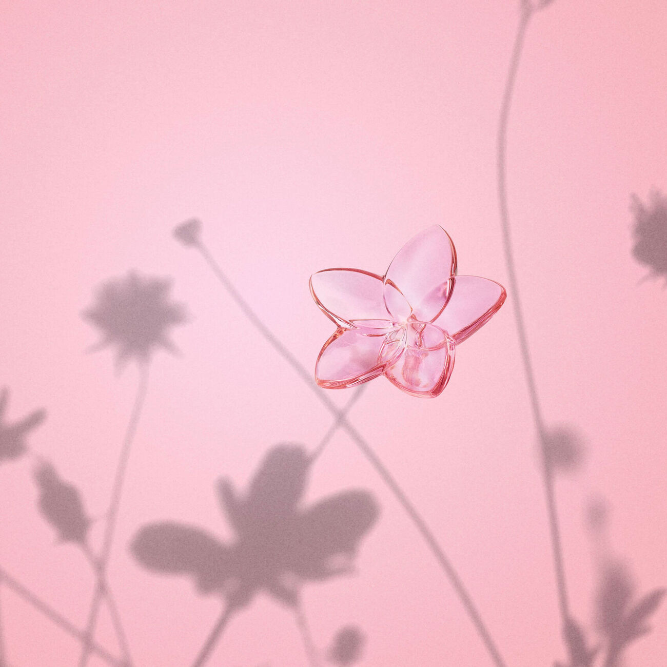 baccarat the bloom collection figurine mini pink