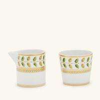 bernardaud constance tea set green