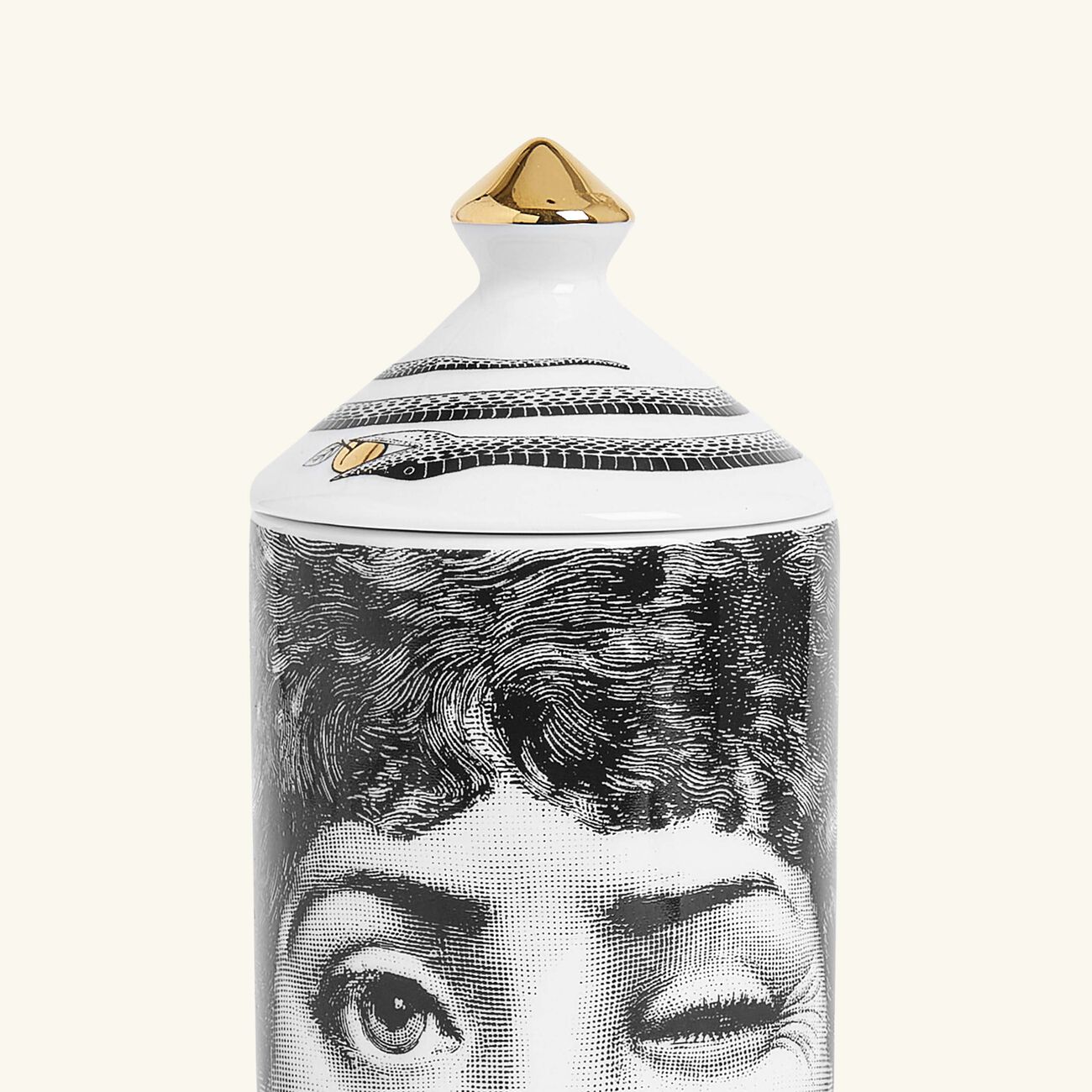 fornasetti frutto proibito mascherina room spray