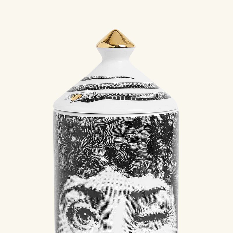 fornasetti frutto proibito mascherina room spray