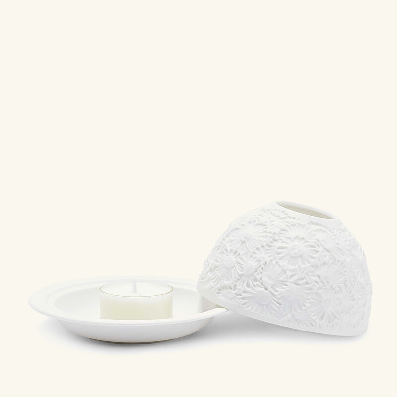 مصباح ليثوفاني ديزيز large