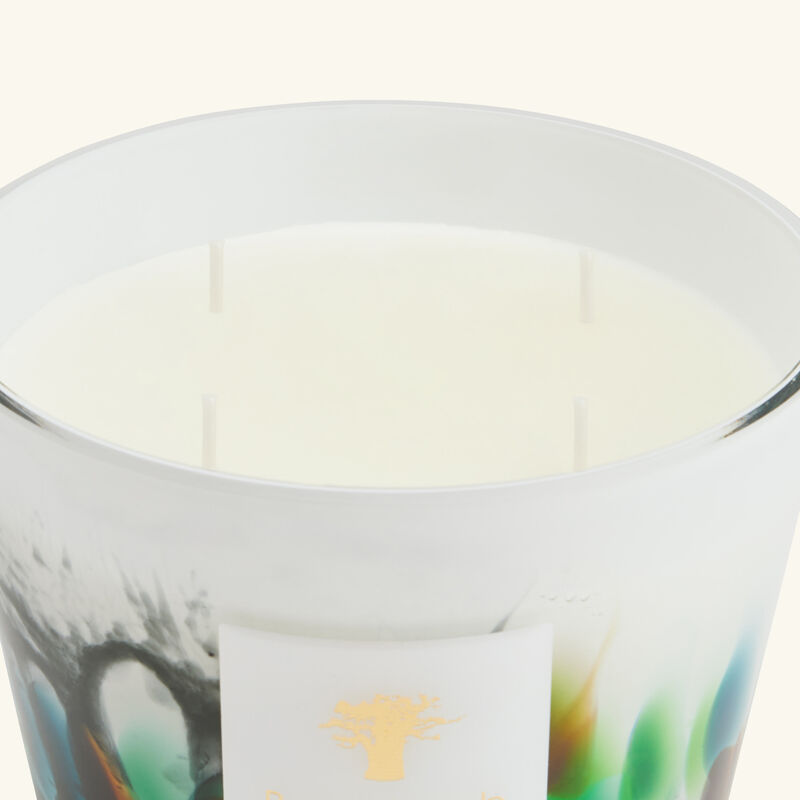 Rainforest Amazonia Candle Max 10 baobab collection rainforest amazonia candle max 10