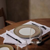 bernardaud augusta dinner plate round 27 cm