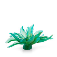Cactus Centrepiece - Limited Edition, small