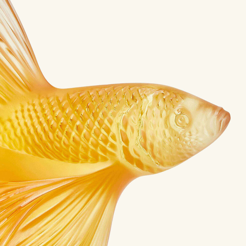 lalique fighting fish sculpture medium yellow