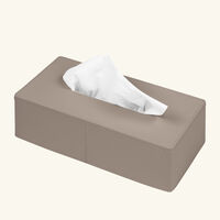 giobagnara narciso rectangular tissue box brown