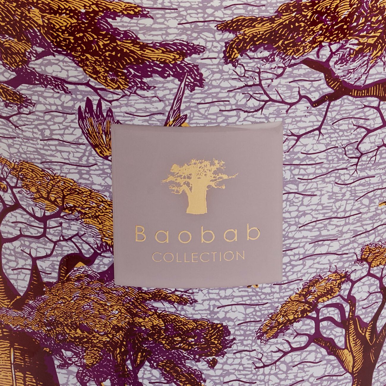 baobab collection sacred trees massasso candle max 35