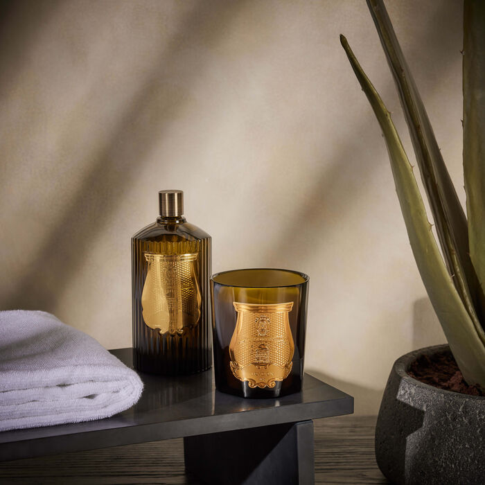 ترودون الشمعة المعطرة جوزفين 270 جرام