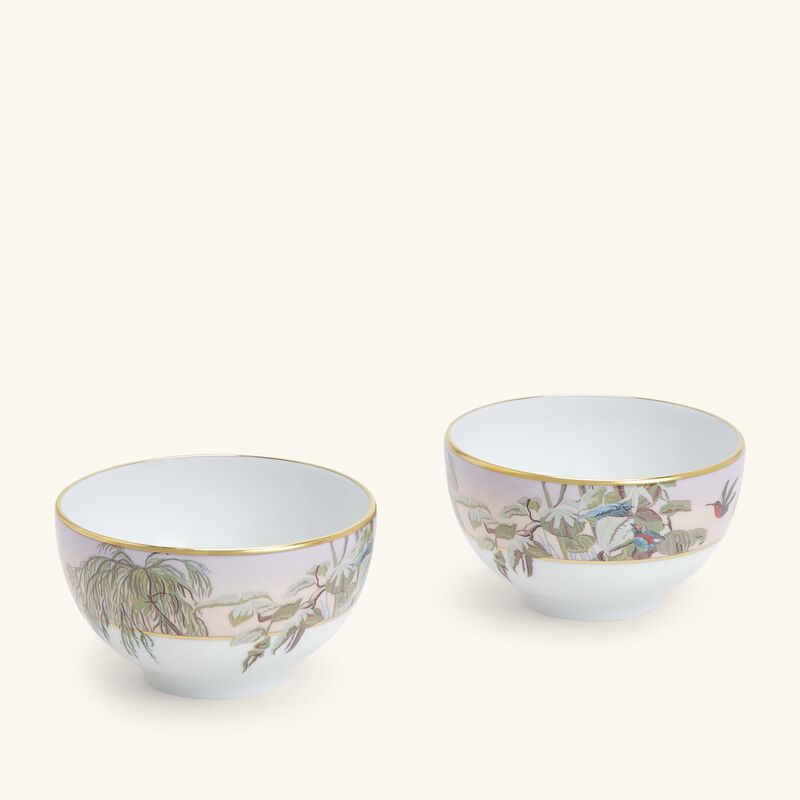 طقم لو بريزيل المؤلف من وعائين للحساء باللون الذهبي 9 سم هافيلاند طقم لو بريزيل المؤلف من وعائين للحساء باللون الذهبي 9 سم