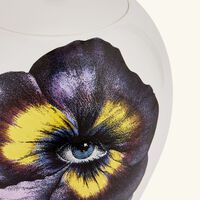 فورناسيتي مزهرية بانسيه متوسط بيضاء