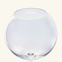baccarat roman e conti degustation glass clear