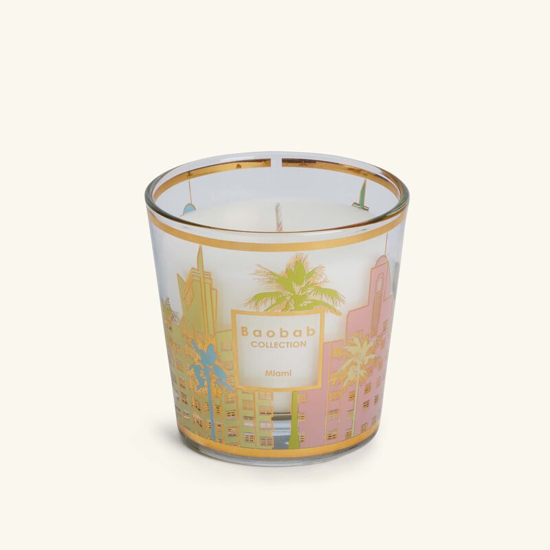 baobab collection my first baobab  miami giftbox