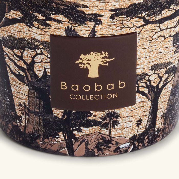 baobab collection sacred trees mankono candle max 10