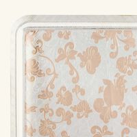 كريستوفل صينية جاردان ديدن مستطيلة كبيرة باللون الفضي