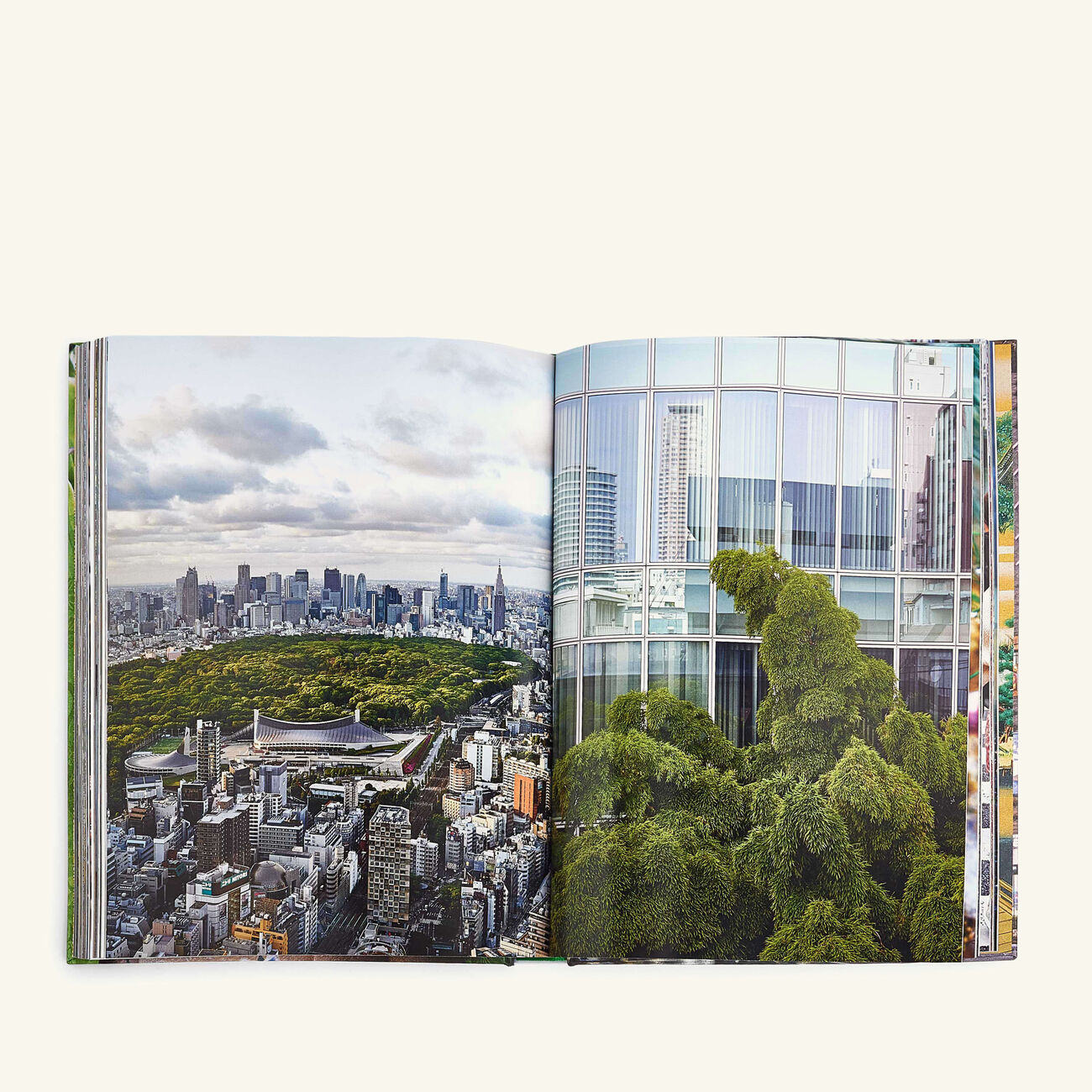 كتاب طوكيو شيك 25x33 سم آسولين كتاب طوكيو شيك 25x33 سم