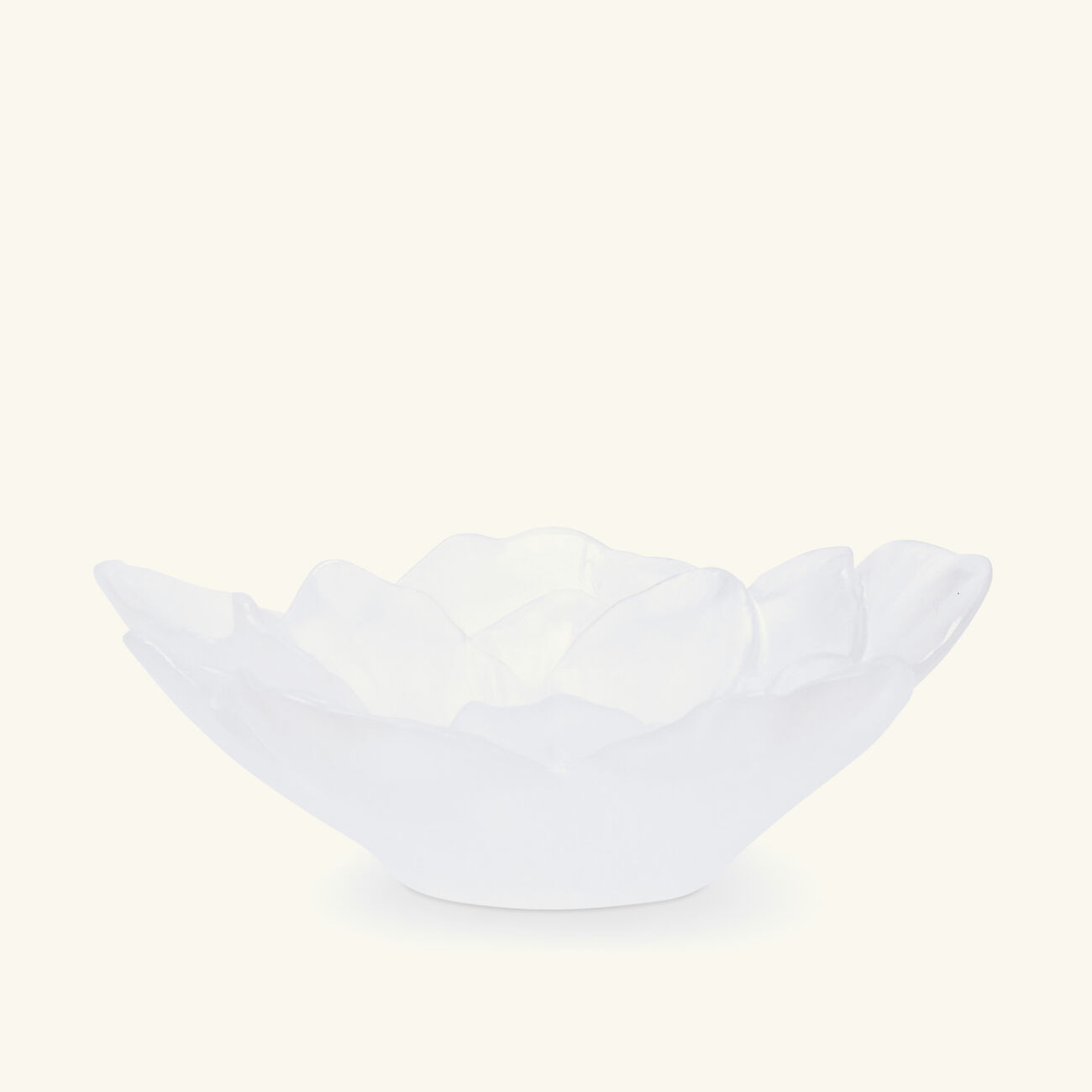 daum camellia centerpiece white