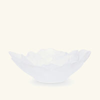 daum camellia centerpiece white