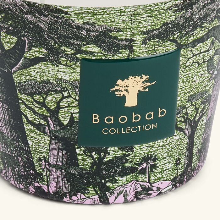 baobab collection sacred trees touba candle max 10