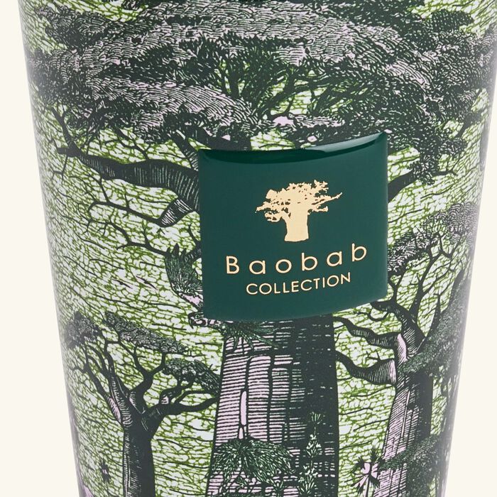 baobab collection sacred trees touba diffuser 500ml