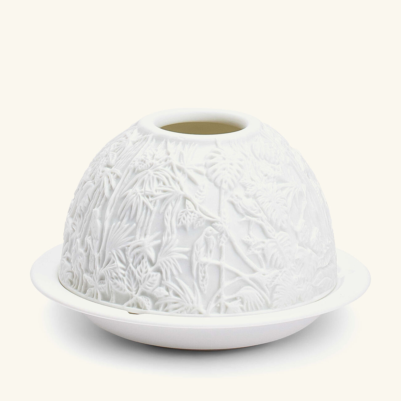 برناردو مصباح ليثوفاني بورنيو