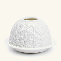 برناردو مصباح ليثوفاني بورنيو