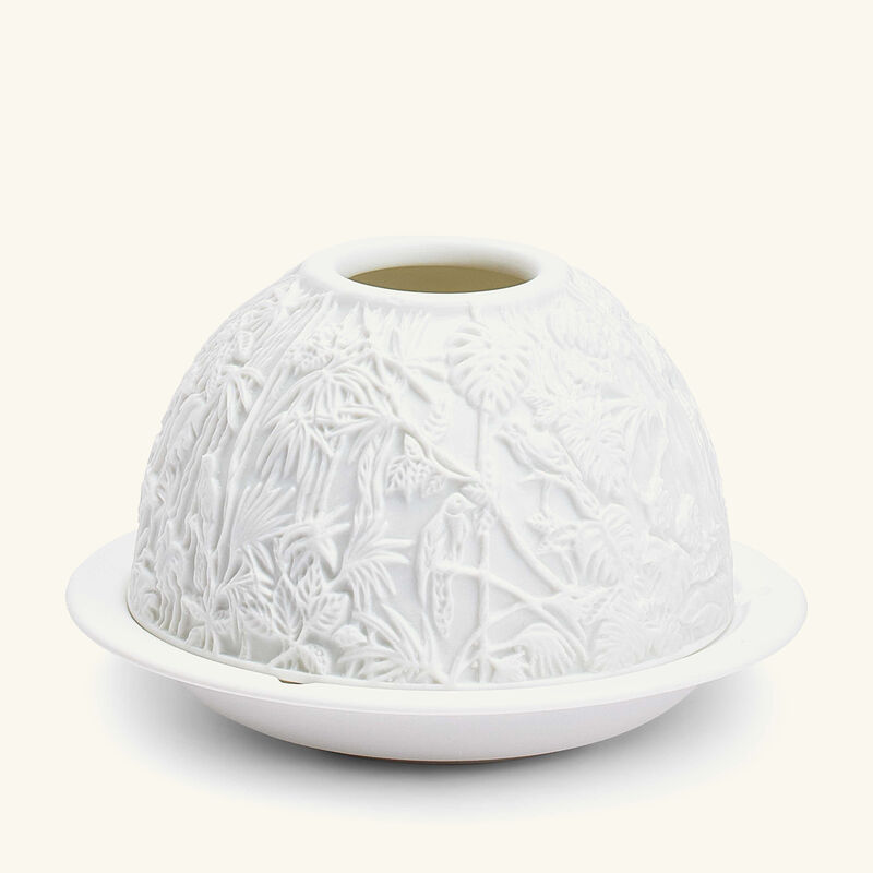 برناردو مصباح ليثوفاني بورنيو