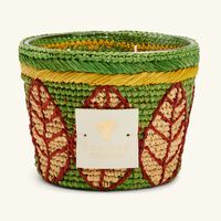 baobab collection ravintsara ravina candle max 10
