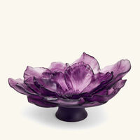 daum camellia centerpiece pink