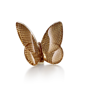 Lucky Butterfly, medium