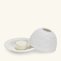 Grapes Lithophanie bernardaud grapes lithophanie