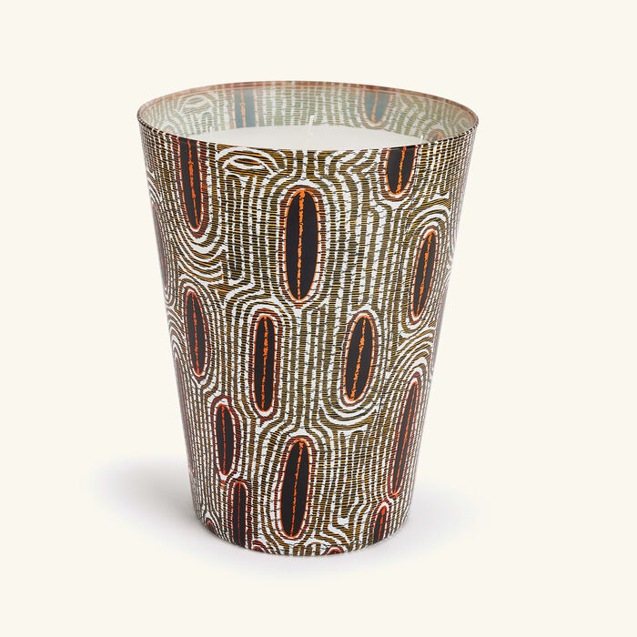 baobab collection maxi wax panya candle max 24