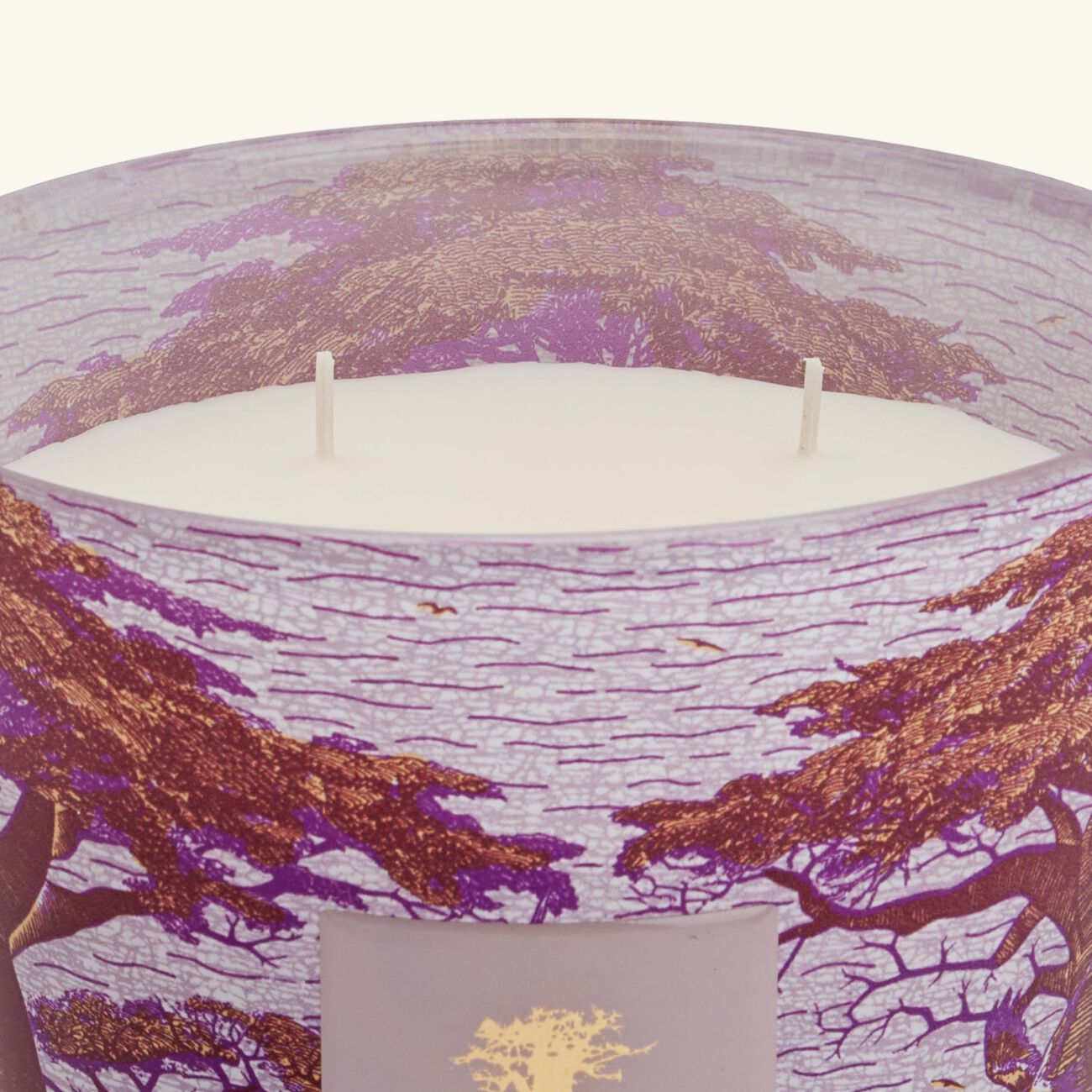 baobab collection sacred trees massasso candle max 16